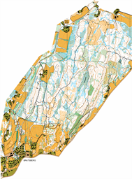 Liaåsen Wing OK 2021