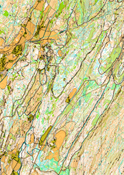 Fana,Totland,Livarden Solbakkefjell  dreid 4,8
