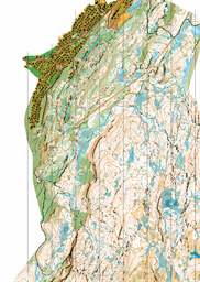 Sommerløpene i  Melhus  2021 - Rye