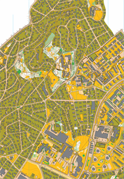 Kuhaugen / Tyholt, NTNUI