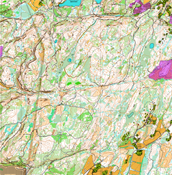 Lomtjønna Wing OK