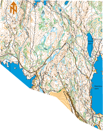 KARTUTSNITT BREISJØEN - STEINBRUVANN TILPASSET 1-7500