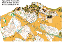 Borgsmo, kartutsnitt