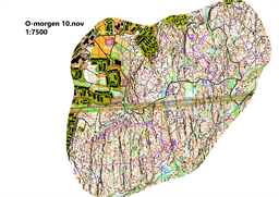 O-morgen 10.nov.1-page-001 (1)