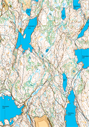 Kartutsnitt Slattumsrøa 2021 til Geoform