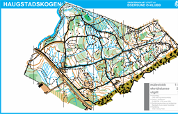Nattløp Haugstadskogen 05.01.2022