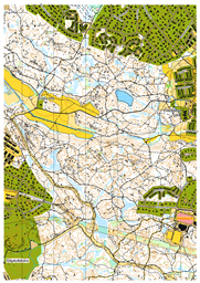 2022-02-28 N Rinkebyskogen bakgrund