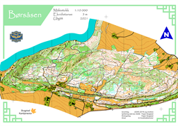 Børsåsen 10 000 A4