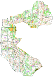 czarnowiec wiosenne.All