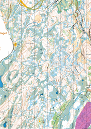 Tjuvdalen