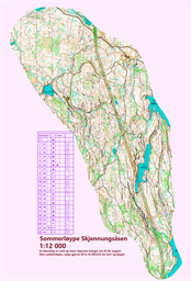 Sommerløyper.Sommer 1