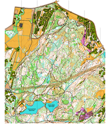 Månen / Stokkan Wing OK 2019