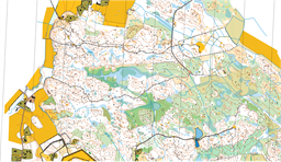 spik-cup 2023-01-31_utsnitt